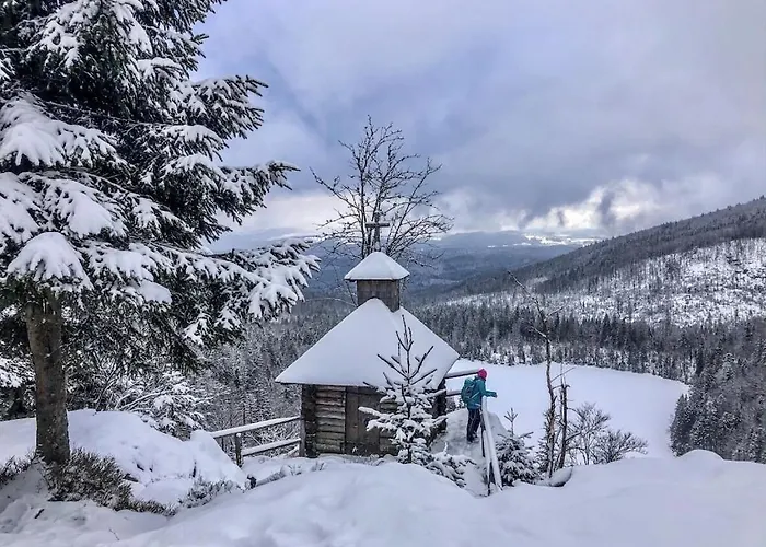Hollerbusch House Tatil Evi